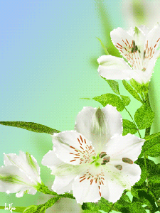 Весна пришла!