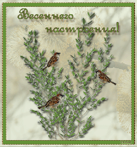 Весна пришла!