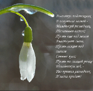 Весна пришла!