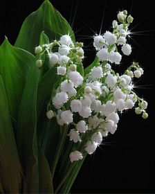 Весна пришла!