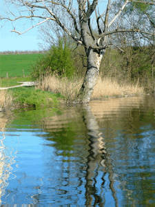 Весна пришла!