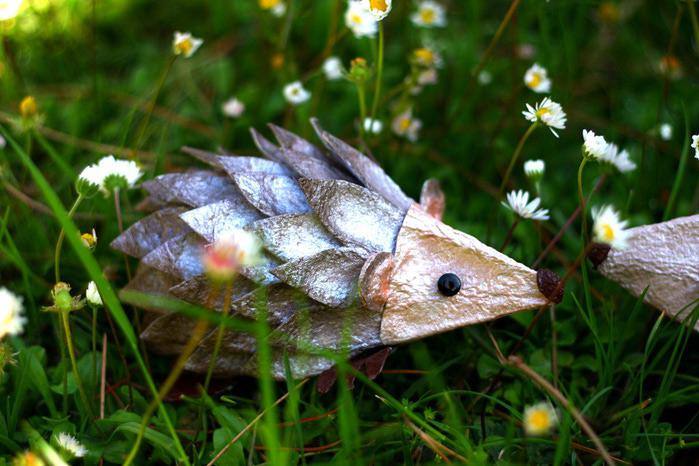 riccio Schiccio-002[4] (700x466, 109Kb)