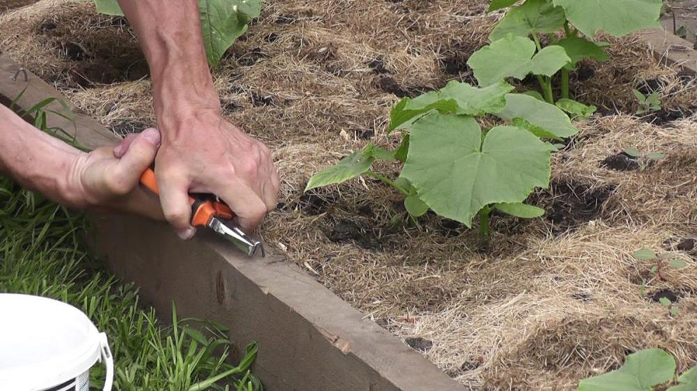 Шпалера для огурцов