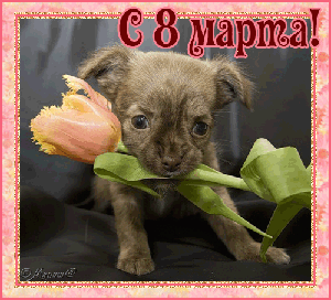 Поздравления с 8 Марта!