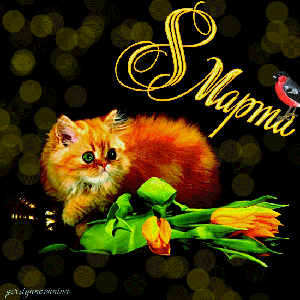 Поздравления с 8 Марта!