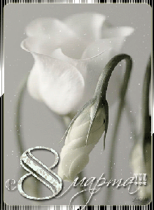 Поздравления с 8 Марта!