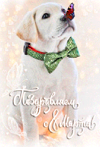 Поздравления с 8 Марта!