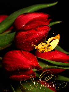 Поздравления с 8 Марта!