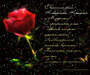 Поздравления с 8 Марта!