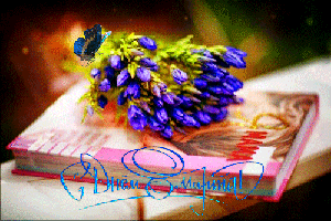 Поздравления с 8 Марта!