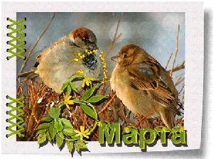 Поздравления с 8 Марта!