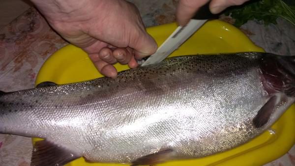 как засолить лосось