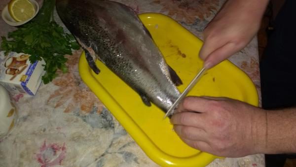 original.jpg#20084058002