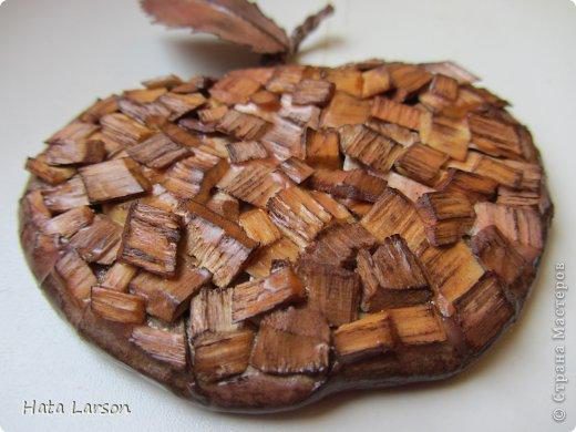 Сувениры - магнитики ЯБЛОЧКИ из картона и прищепок (11) (520x390, 111Kb)