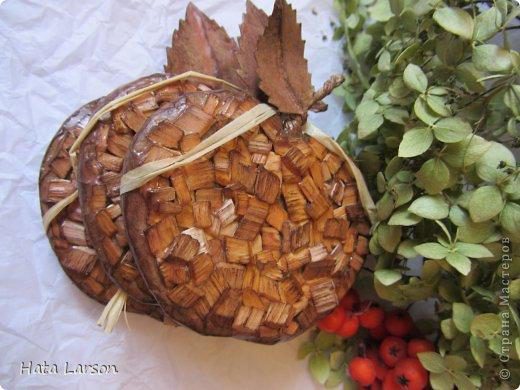 Сувениры - магнитики ЯБЛОЧКИ из картона и прищепок (21) (520x390, 127Kb)