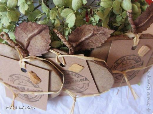 Сувениры - магнитики ЯБЛОЧКИ из картона и прищепок (17) (520x390, 117Kb)