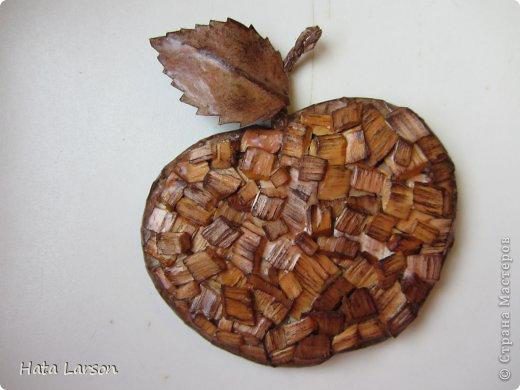 Сувениры - магнитики ЯБЛОЧКИ из картона и прищепок (10) (520x390, 90Kb)