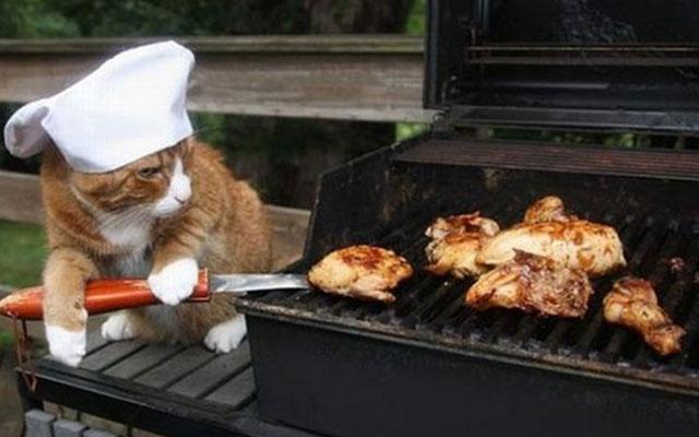 приготовление шашлыка