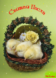 Пасхальные открытки и картинки