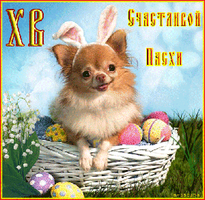 Пасхальные открытки и картинки
