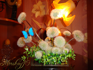 Одуванчики