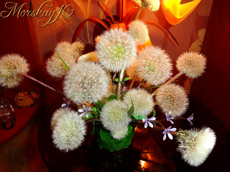 Одуванчики