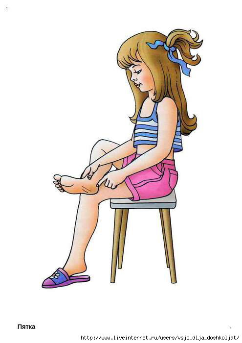 5111852_chastitela2piatka (495x700, 84Kb)