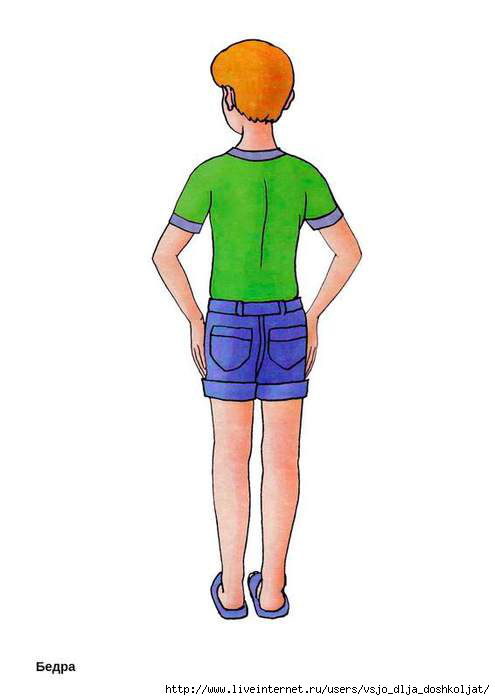 5111852_chastitela4bedra (495x700, 62Kb)