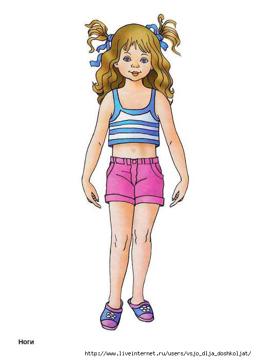 5111852_chastitela3nogi (495x700, 86Kb)