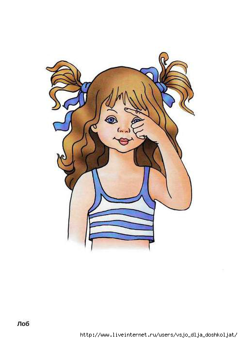 5111852_chastitela18lob (495x700, 91Kb)