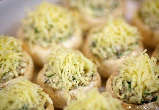 3925073_oJUMQfjJ6Ig_1 (604x418, 105Kb)