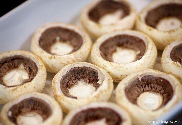 3925073_b528jpYGyms (604x417, 111Kb)