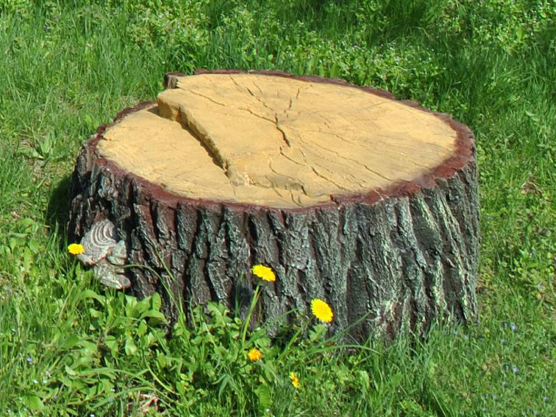Как удалить пень дерева