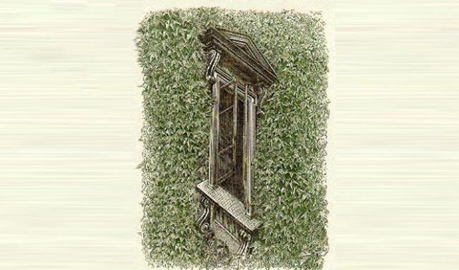 оптические иллюзии