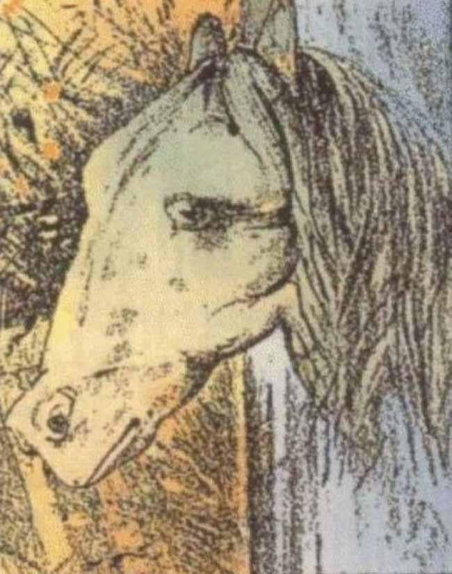 оптические иллюзии