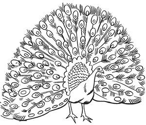 РАСКРАСКИ-АНТИСТРЕСС