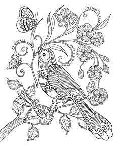 РАСКРАСКИ-АНТИСТРЕСС