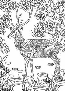 РАСКРАСКИ-АНТИСТРЕСС