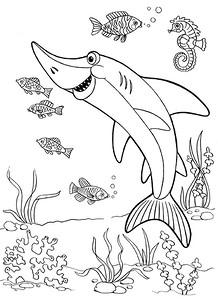 Морская тематика (раскраски)