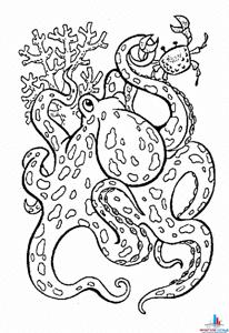 Морская тематика (раскраски)