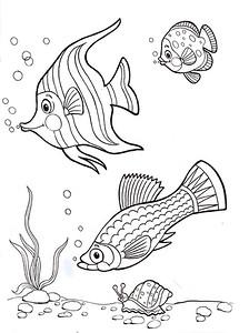 Морская тематика (раскраски)