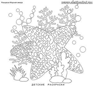 раскраски-антистресс