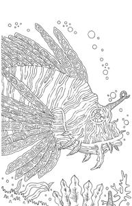 Морская тематика (раскраски)