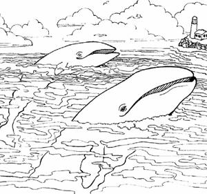 Морская тематика (раскраски)