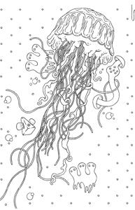 Морская тематика (раскраски)