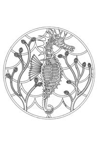 Морская тематика (раскраски)