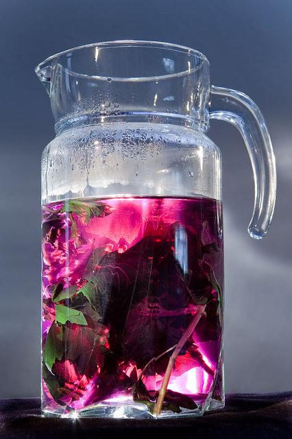 Десять напитков, которые хорошо выпить в жару