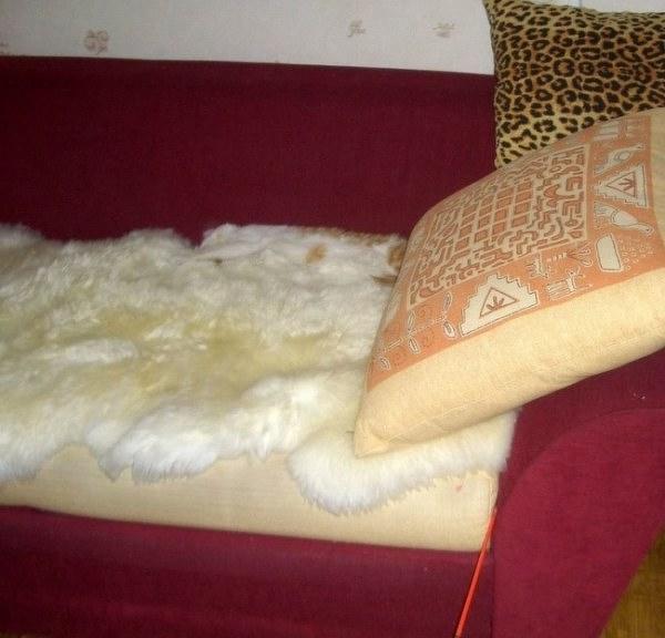 Тест на внимательность – найди кота! )))