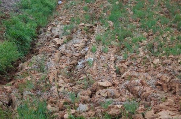 Тест на внимательность – найди кота! )))