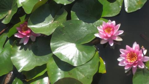 big.jpeg#20129866534